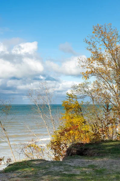 Cliff Sabbia Affaccia Sul Lago Michigan Come Alberi Trasformano Oro — Foto Stock