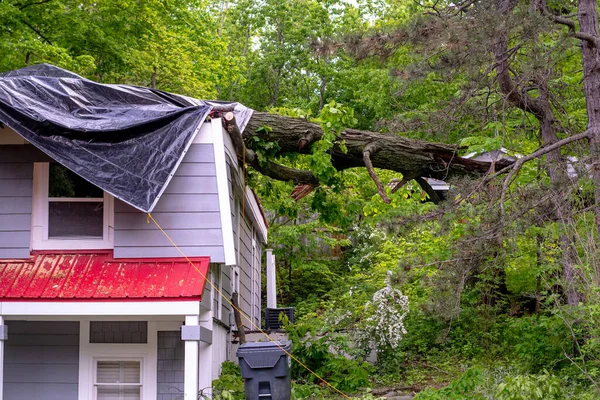 Storm damage and high winds knocks a tree down on top of the roof of this vacation home