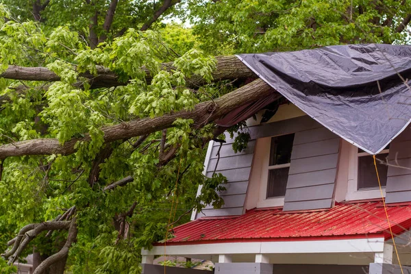 Heavy Tree Falls Roof Top Storm Tarp Covers Damage Rain — 图库照片