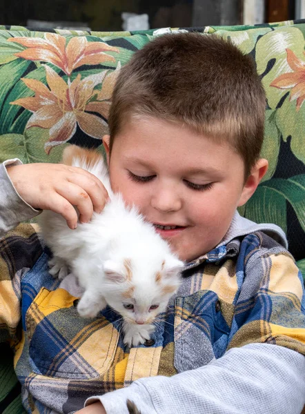 Young Boy Plays Active White Kitten Crawls All Him — Stock Photo, Image