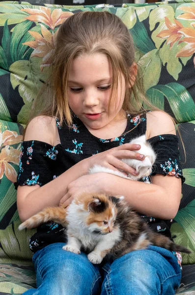 Little Girl Struggles Hold Two New Kittens Climb All Her — Stock Photo, Image