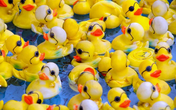 Small Rubber Duckies Sporting Sunglasses Float Blue Tub County Fair — 图库照片