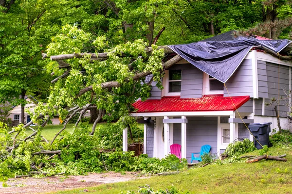 Vahşi fırtına bu küçük eve bir ağaç düşürüyor, çatıyı tahrip ediyor ve etrafı kirletiyor.