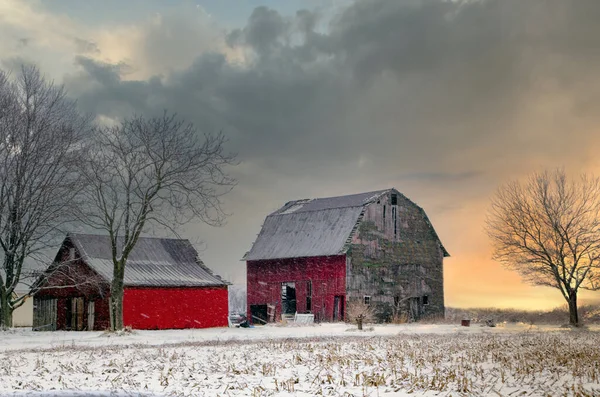 Tired Old Barns Stand Pretty Sunset Wintery Snowy Day Michigan — 스톡 사진