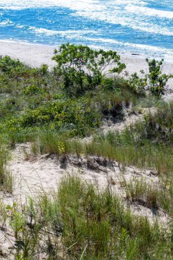 Kumulların tepesinden bakıldığında Michigan 'daki kumsal çimlerini, ağaçlarını ve gümüşi gölü görüyoruz.