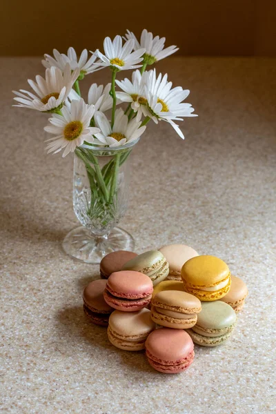 Gänseblümchen Und Makkaron Stillleben Auf Einer Gesprenkelten Tischplatte — Stockfoto