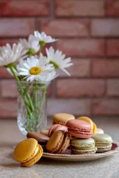 Summer Daisies Make Sweet Still Life Next Plate Crispy French — Stock Photo, Image