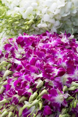 Satılık çiçekler