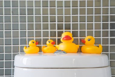 Rubber duck clipart