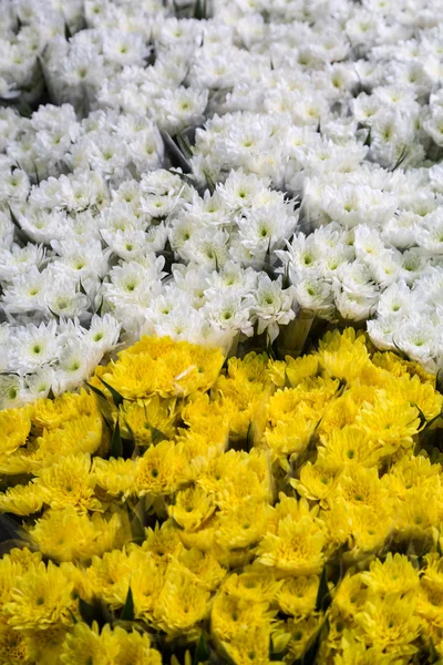 Flores para venda — Fotografia de Stock