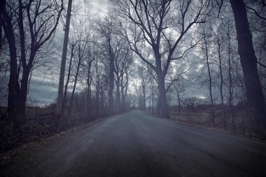Gloomy road durring a cold day of Autumn clipart