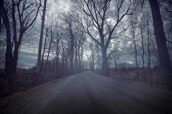 Мрачная дорога, длящаяся холодным днем осени — стоковое фото