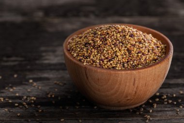 ahşap kase içinde tohum çimlenme