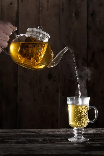 Горячий ромашковый чай — стоковое фото
