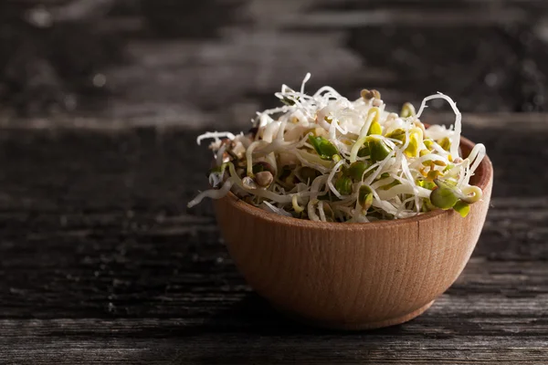 Radish Sprouts in a Wooden bowl — Stock Photo, Image
