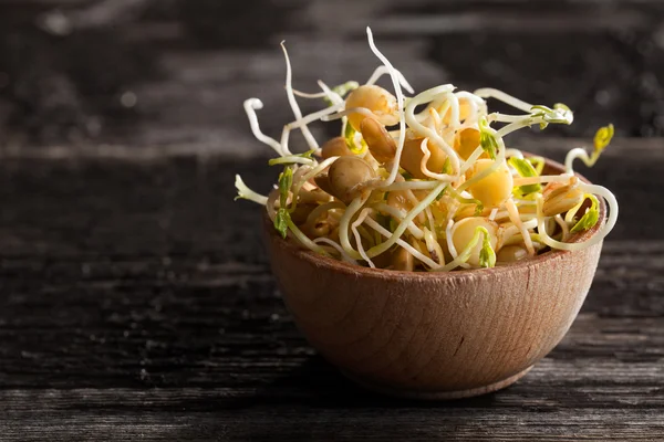 Brown Lentils Sprouts in a Wooden bowl — Stock Photo, Image