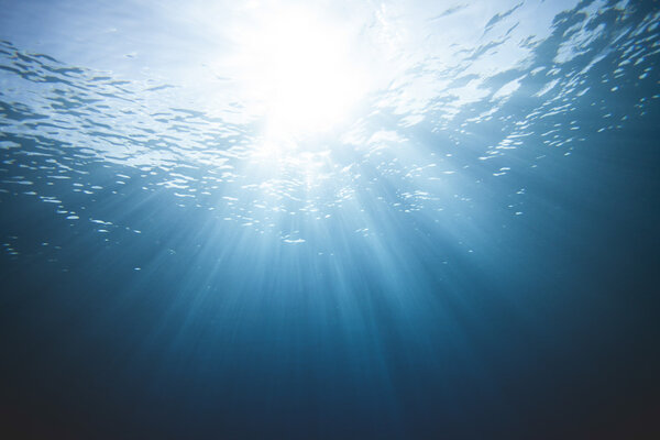 In the middle of the Ocean