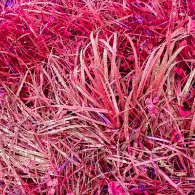 Pembe botanik çekimin soyut arkaplanı