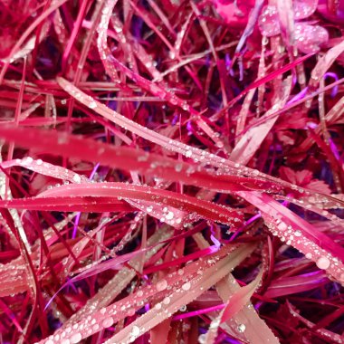 Pembe botanik çekimin soyut arkaplanı