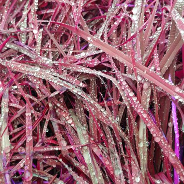 Pembe botanik çekimin soyut arkaplanı