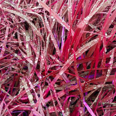 Pembe botanik çekimin soyut arkaplanı