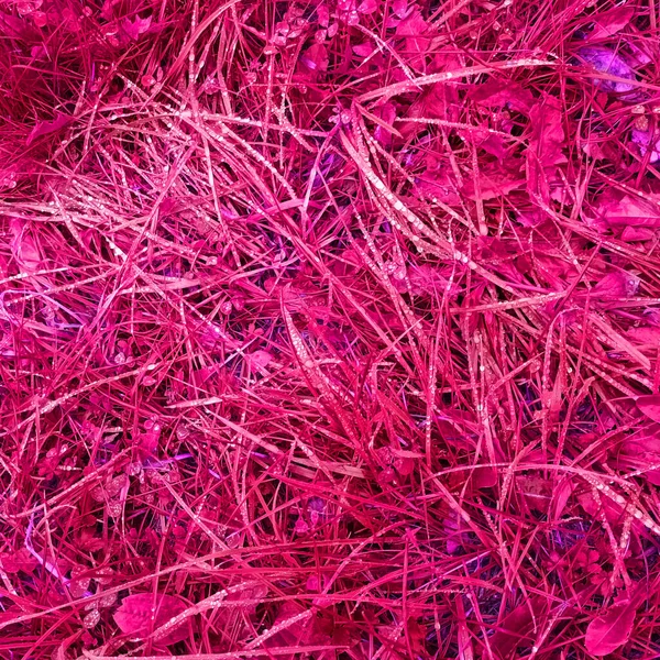 Pembe botanik çekimin soyut arkaplanı