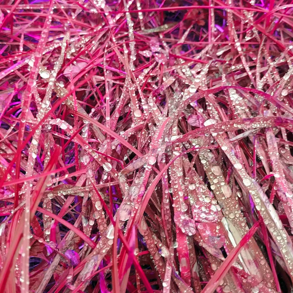Abstract Background Pink Botanical Shot — Stock Photo, Image