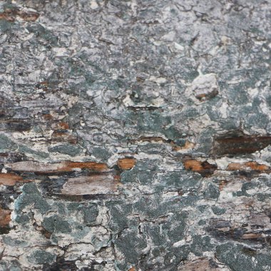 grunge doku arkaplanı, soyut desen