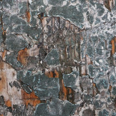 grunge doku arkaplanı, soyut desen