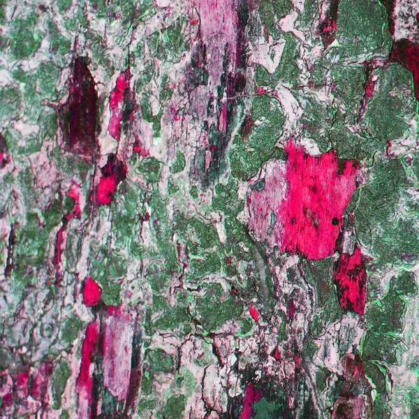 Abstract Colorat Crackled Fundal — Fotografie, imagine de stoc