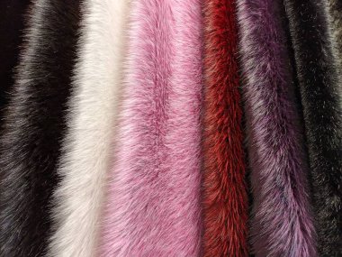 Sonbahar ağaçları, doğa arka plan kavramı