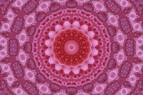 Concentric Flower Center Macro Close Mandala Kaleidoscopic Design Esoteric Magic — Stock Photo, Image