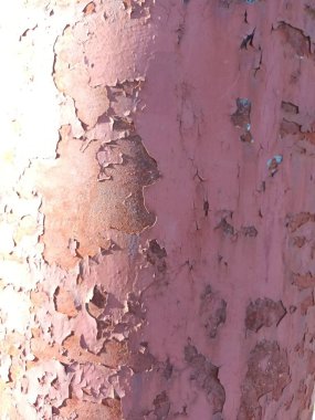 metin için alanı olan grunge arkaplanı