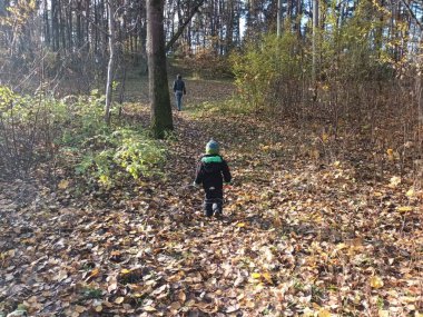 güzel sonbahar botanik çekimi, doğal duvar kağıdı 