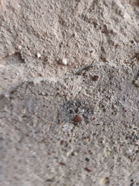 Textura Madera Vieja Con Pintura Pelada Fondo — Foto de Stock