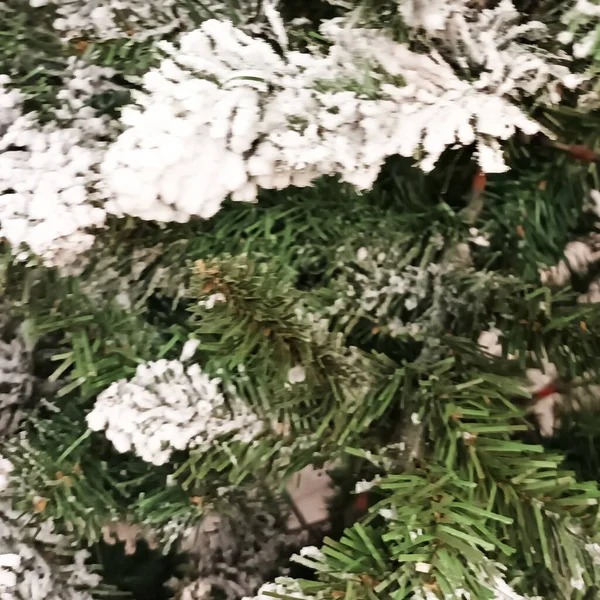 クリスマスツリーの枝を閉じて — ストック写真