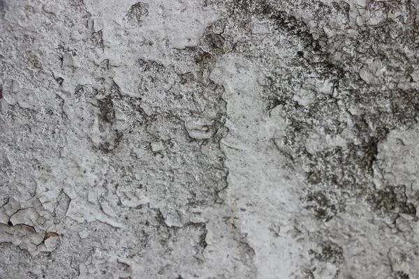 Eskimiş grunge eskimiş gri beton beton taş duvar dokusu arka plan.