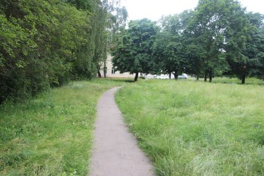 Yeşil bahçede dolambaçlı bir yol. Yaz manzarası.