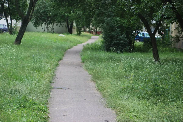 Winding Path Een Groene Tuin Zomer Landschap — Stockfoto