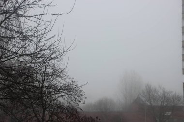 Sonbahar sonu sis görünümü 