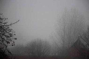 Sonbahar sonu sis görünümü 