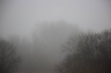 Sonbahar sonu sis görünümü 