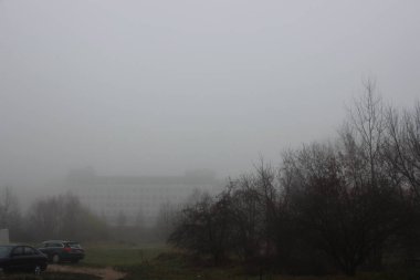 Sonbahar sonu sis görünümü 