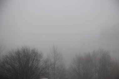 Sonbahar sonu sis görünümü 