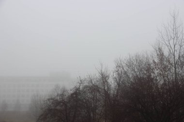 Sonbahar sonu sis görünümü 