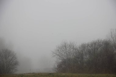 Sonbahar sonu sis görünümü 