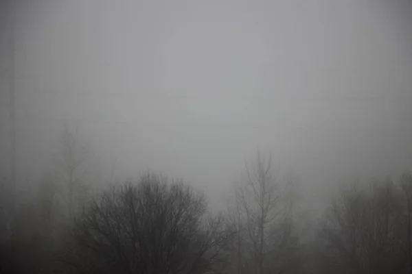 Késő Őszi Köd Kilátás — Stock Fotó