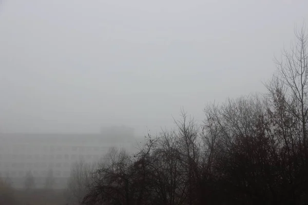 Fin Automne Brouillard Vue — Photo
