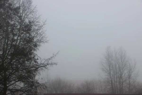 Αργά Φθινόπωρο Θέα Ομίχλη — Φωτογραφία Αρχείου