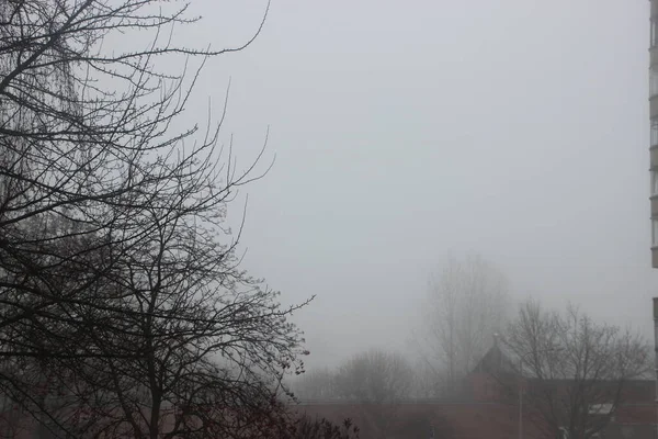 Fin Automne Brouillard Vue — Photo
